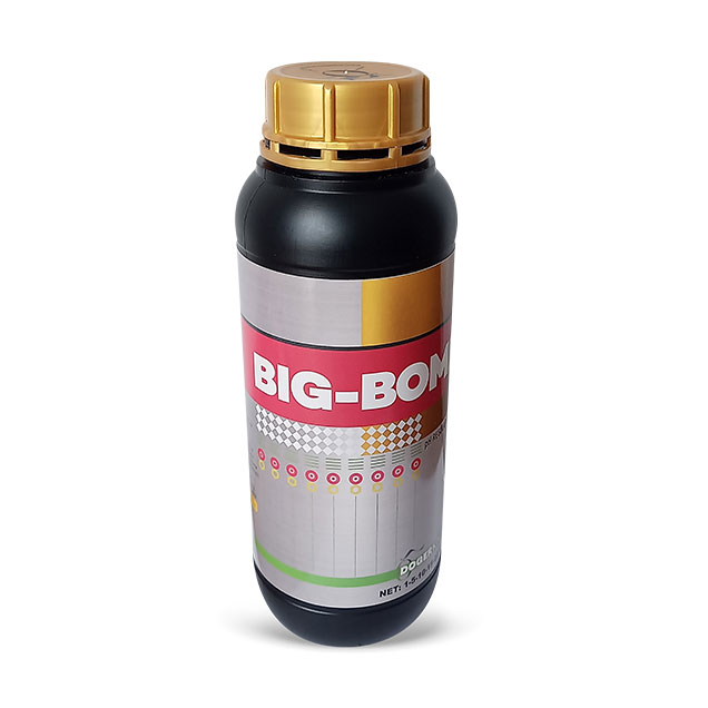 BIG-BOMB%201%20LT